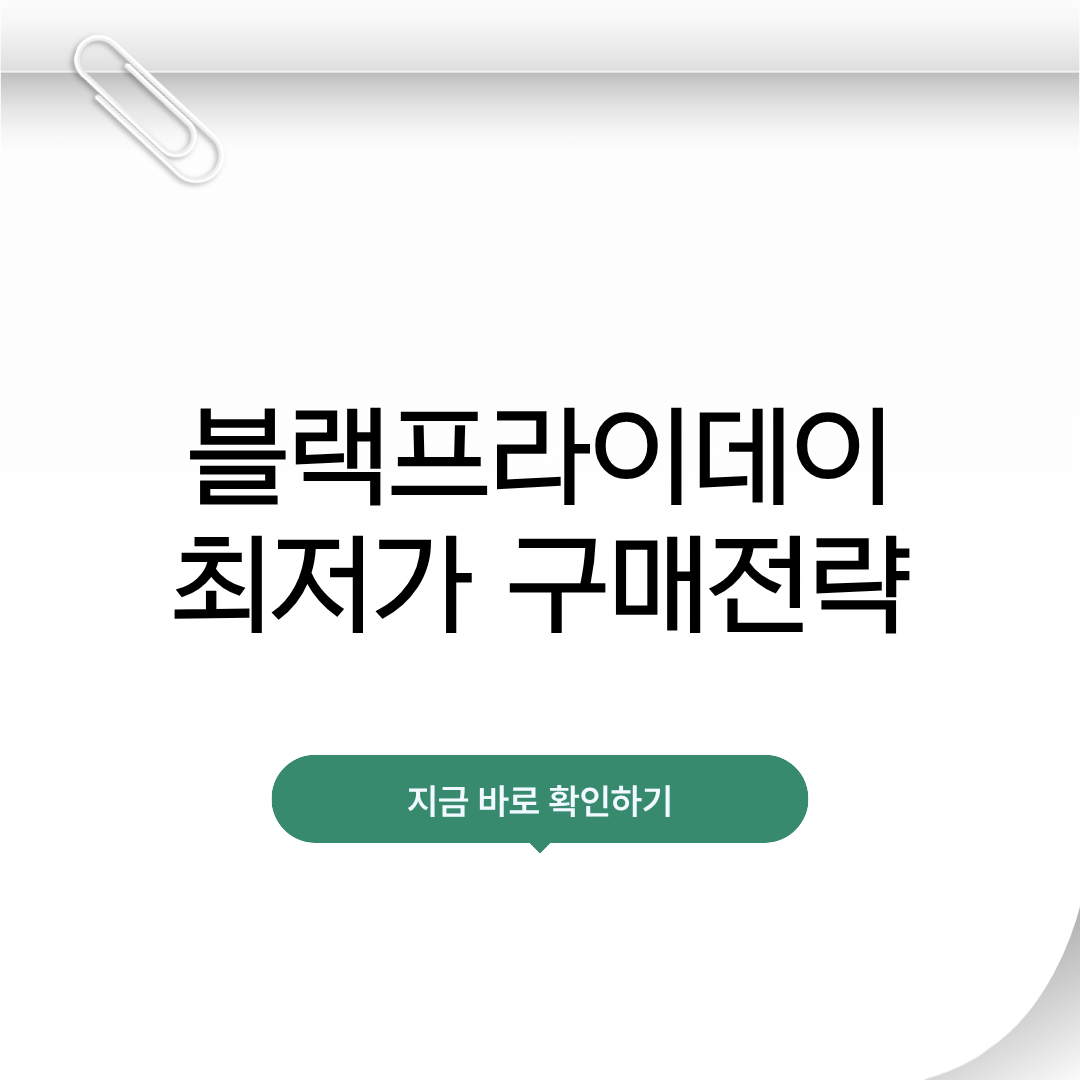블랙프라이데이 최저가 구매전략
