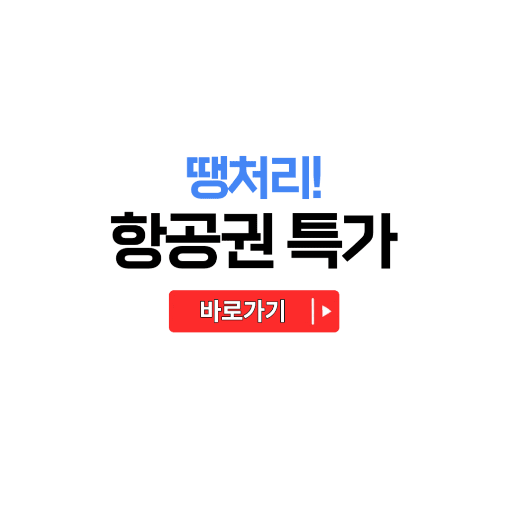 항공권 특가 땡처리