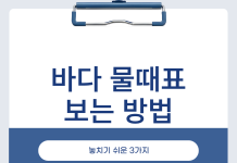 바다 물때표 보는법, 만조 시각만 보면 놓치는 숫자 3가지 바다 물때표 보는법